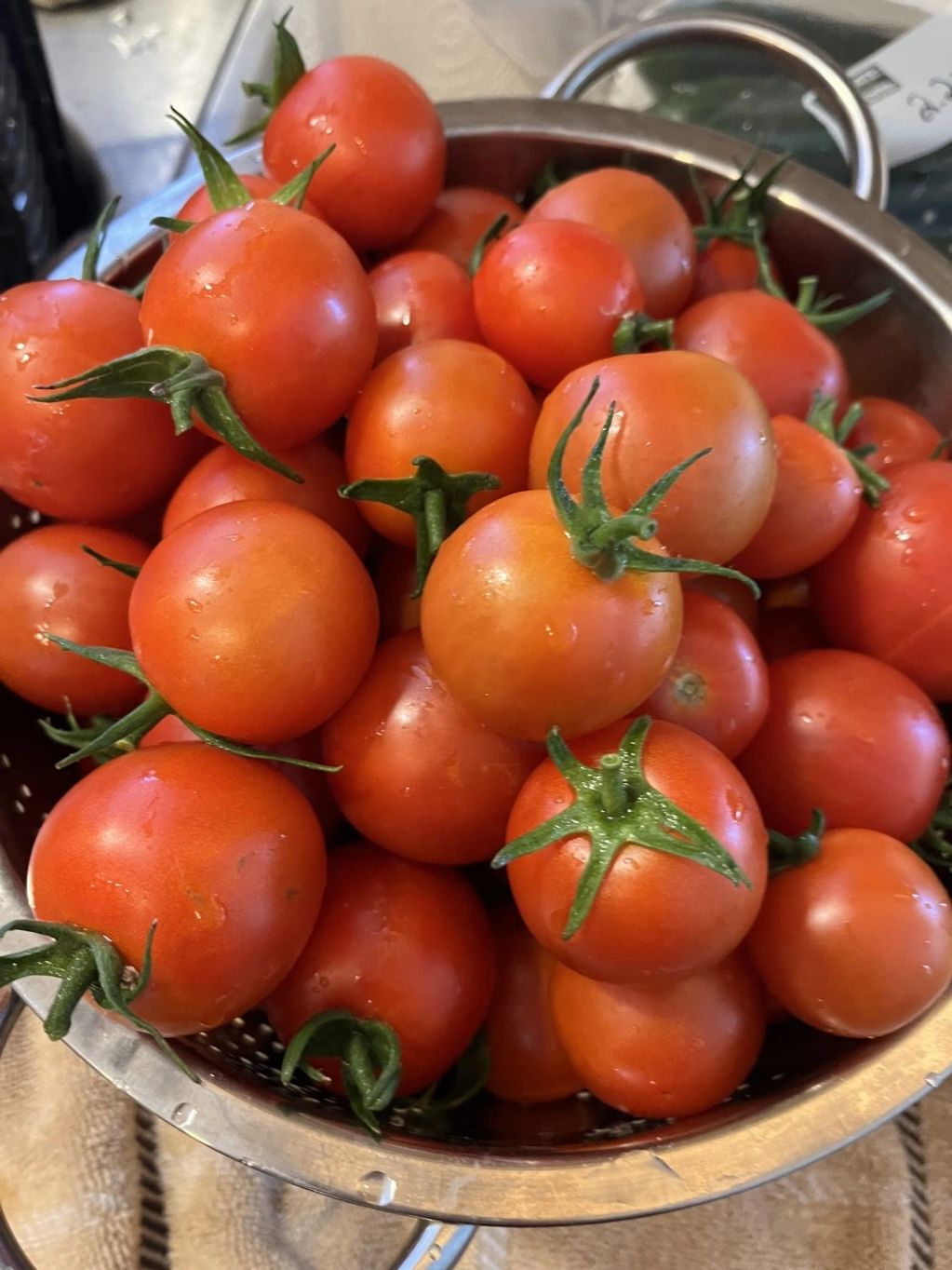 Sugar Mountain Farm LLC